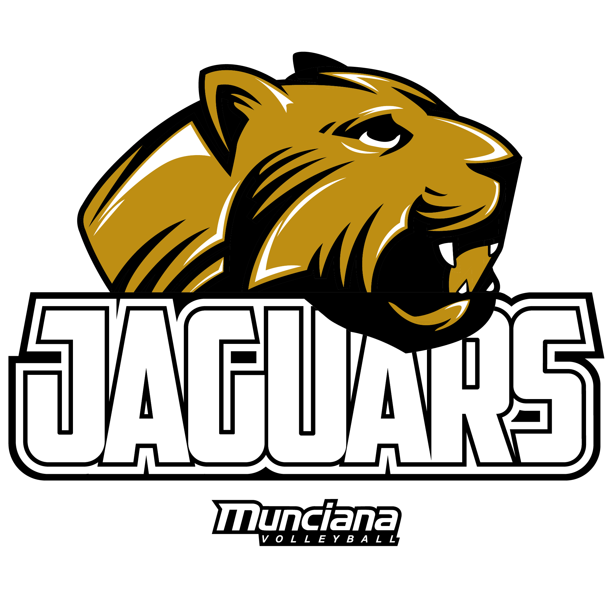 Team Logo